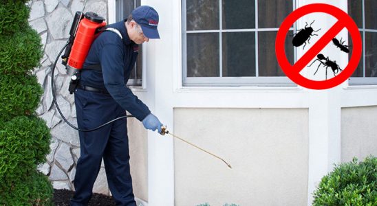 Yumurtalık Kene İlaçlama böcek ilaçlama ve haşere kontrolü — ilaclama-tr.com